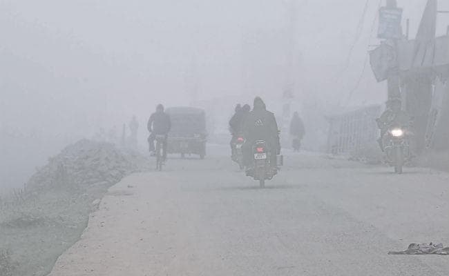 बिहार में ठंड से 19 लोगों की मौत