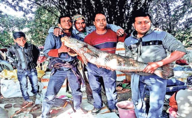 हुगली : 522 वर्ष पुराना मछली मेला लगा