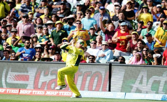 #INDvsAUS : ऑस्ट्रेलियाई खिलाड़ी ने भारत को ललकारा, कहा, अब बहुत हो गया...