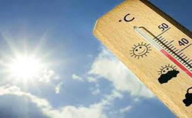 Bihar weather : पूस में फागुन जैसी गर्माहट से होने लगी बेचैनी, अधिकतम तापमान में चार से छह डिग्री अधिक बढोतरी, जानिये क्या है कारण