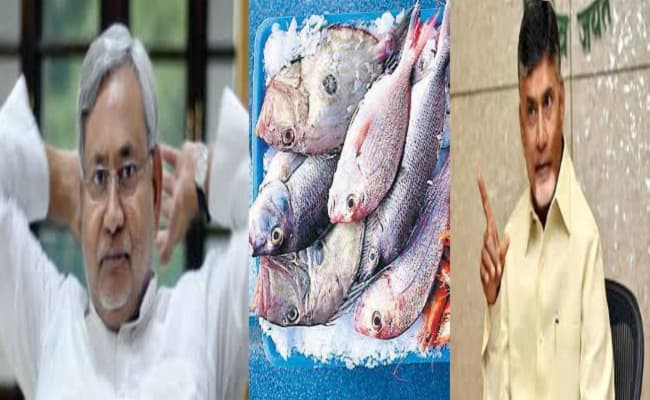 बिहार तकनीकी दल भेज कर हमारी मछली की गुणवत्ता की परख करे : चंद्रबाबू नायडू