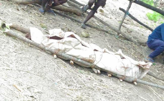 बारूदी सुरंग में उड़ने से ग्रामीण की मौत, मदद नहीं मिली, जंगल में दर्द से कराहते हुए तोड़ा दम