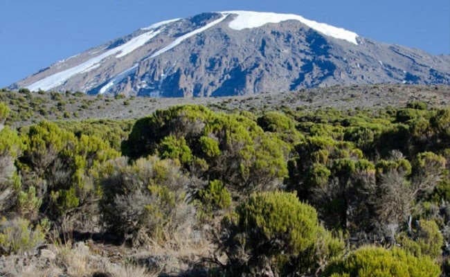 पानागढ़ : साइकिल से फतह किया पहाड़ किलिमंजारो