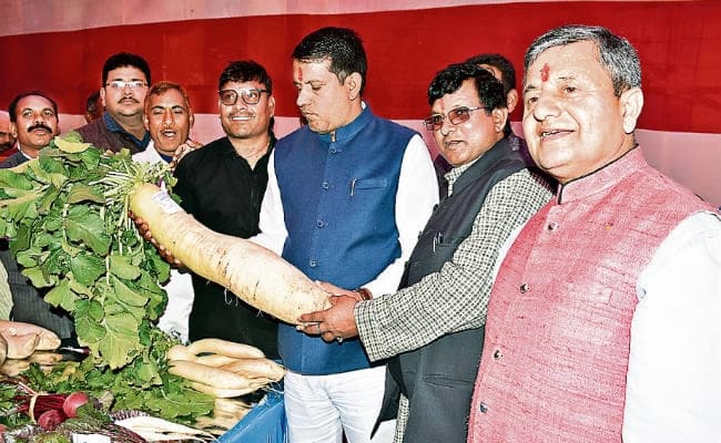 रांची : कृषि में हुए काम से जाना जा रहा है झारखंड : कृषि मंत्री