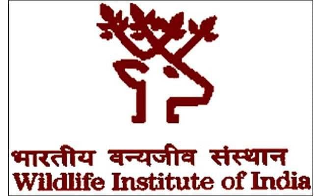 भारतीय वन्यजीव संस्थान ने मांगे हैं आवेदन