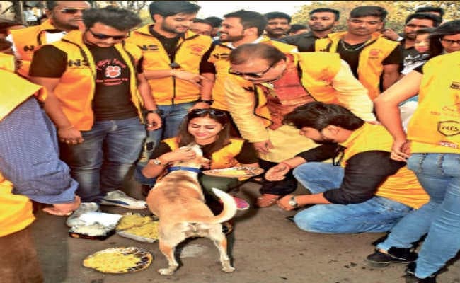 कोलकाता : मदन मित्रा ने कुत्तों संग मनाया वैलेंटाइंस डे