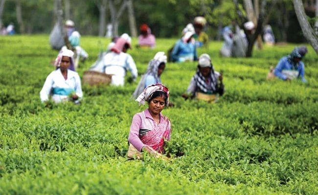 अधूरे रह गये शानदार घर वापसी के सपने