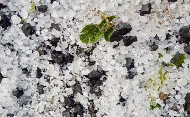 पटना : आंधी-पानी के साथ ओले भी गिरे, दो की गयी जान