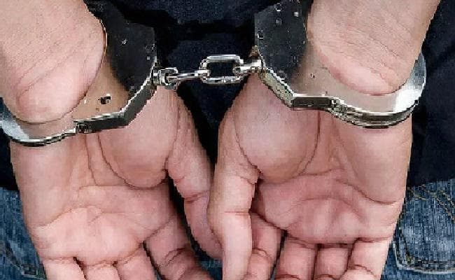 चाइल्ड पोर्न देखते थे भारतीय पालयट, FBI ने किया गिरफ्तार