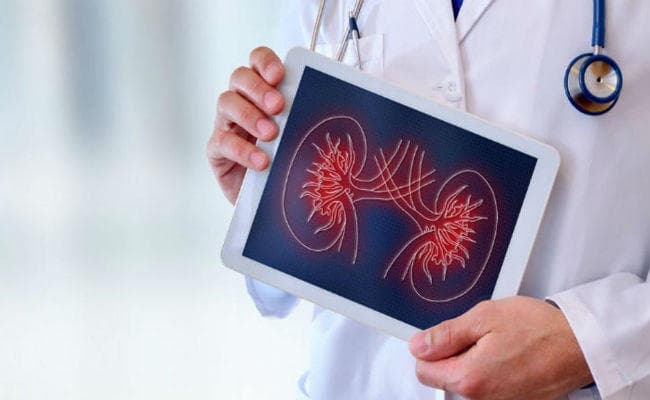 जानें कैसे सेहतमंद होगी किडनी