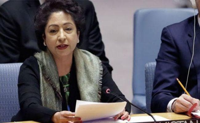 भारतीय समाचार एजेंसी को सईद की जानकारी के खुलासे पर पाक ने संरा जांच की मांग की