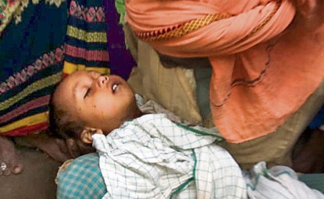 बिहटा में दो बिल्लियों ने ले ली मासूम की जान