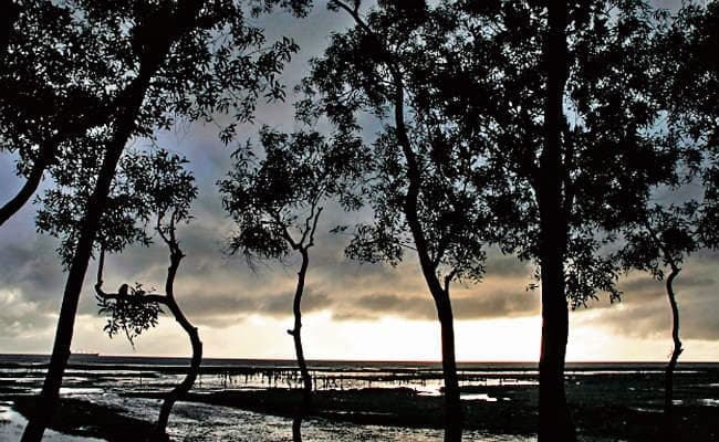 चक्रवात ‘फनी'' का असर, आज से 3 दिन तक भारी बारिश, 200 किमी प्रति घंटे की रफ्तार से चलेंगी हवाएं, चार राज्यों में अलर्ट