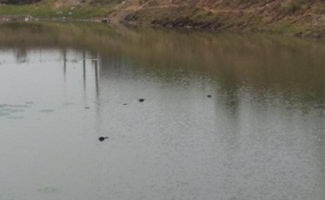 तालाब में तीन बच्चों के शव मिलने से बोकारो में सनसनी