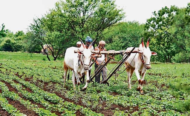 पटना : पीएम सम्मान निधि योजना के आवेदनों का जल्द निबटारा