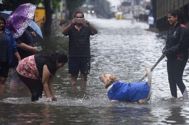 भारी बारिश से मुंबई बेहाल, देखें कुछ तस्वीरें