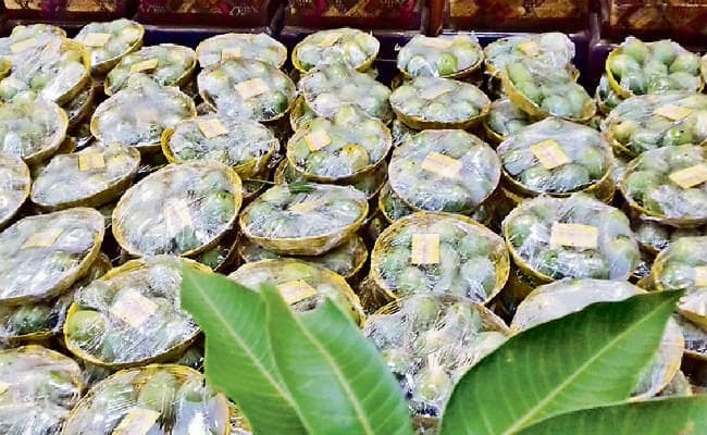 पटना : विधानमंडल पहुंचा आम, विपक्ष ने कहा, कारबाइड वाला है, मंत्री बोले-विरोधियों को हो गया है शूगर