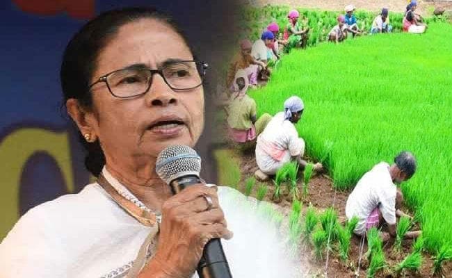 मुख्यमंत्री ममता बनर्जी ने सदन को बताया- खेती नहीं करना चाहते सिंगूर के किसान