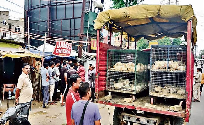 रांची : जुर्माना नहीं देने पर जब निगम की टीम ने जब्त किये मुर्गे