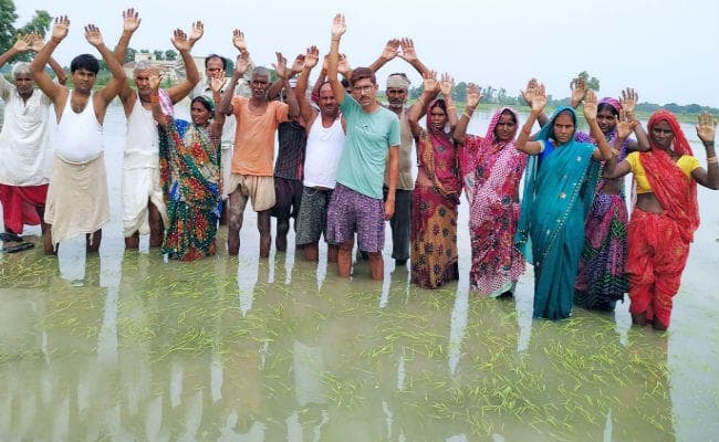 गोपालगंज : बारिश से खेतों में लगी फसल बरबाद होने पर खेत में ही किसानों ने किया प्रदर्शन