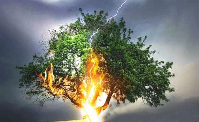 नवादा में आकाशीय बिजली गिरने से सात बच्चों समेत आठ लोगों की मौत, CM ने जताया शोक, मुआवजे का एलान