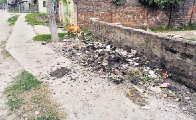 लाखों खर्च, नतीजा सिफर, स्वच्छ शहर का सपना बना सपना