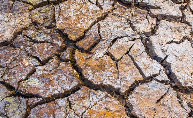 स्त्री क्या प्रत्येक प्रकार के प्रयोग की समिधा है ?