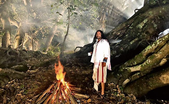 सिनेमा : जल, जंगल और जमीन की दावेदारी