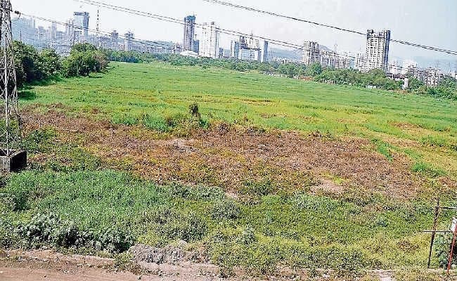 पटना : मार्च तक 38 हजार भूमिहीनों को मिलेगी जमीन