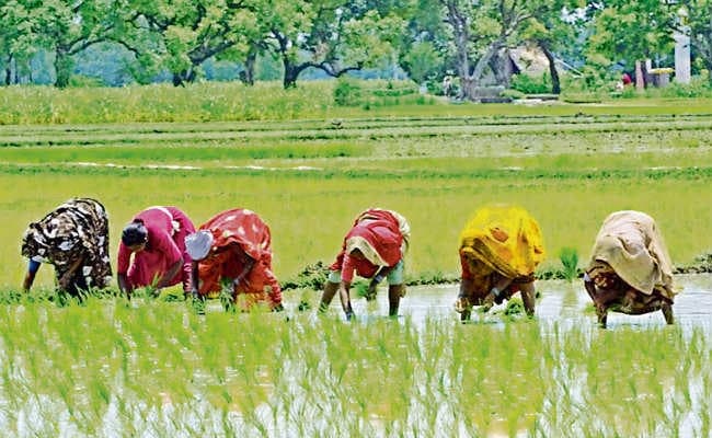 मन-धन योजना के लिए मुफ्त में होगा निबंधन