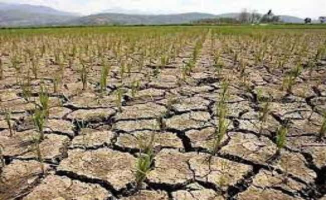 सवा सौ से अधिक प्रखंड हो सकते हैं सूखाग्रस्त घोषित