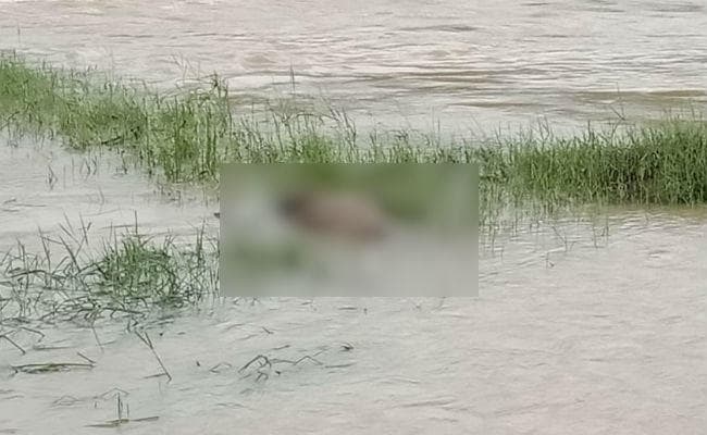 गुमला : अंधविश्वासियों ने फिर ली एक महिला की जान, निर्मम हत्या कर शव नदी में फेंका