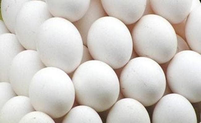 मुजफ्फरपुर के स्कूलों में घोटाला : 16 रुपये में खरीदा जाता है एक अंडा