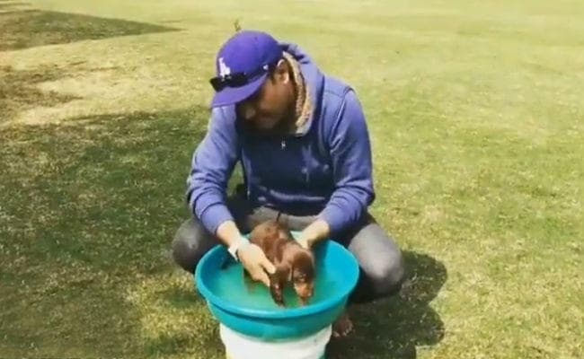 वीरेंद्र सहवाग गेंदबाजों की धुलाई से रिटायरमेंट के बाद अब इसकी कर रहे धुलाई, VIDEO वायरल