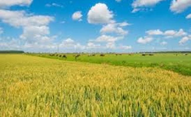 मानव जीन पर सबसे बड़ा अध्ययन : दक्षिण एशिया में खेती स्वाभाविक विकास, पश्चिम से अपनाया हुआ नहीं