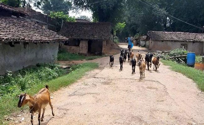 बिजली पानी और रोजगार की समस्या से जूझ रहा है स्वतंत्रता सेनानियों का यह गांव