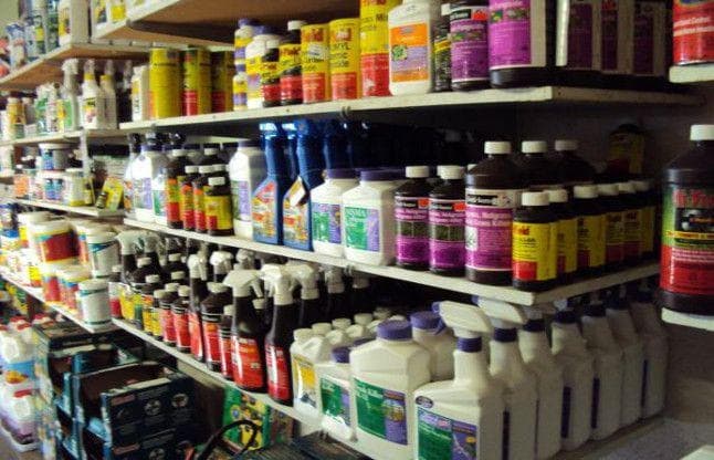 केंद्र ने लगाया प्रतिबंध, फिर भी बिहार के बाजार में बिक रहे 12 खतरनाक कीटनाशक