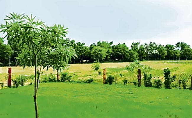 Bihar: जल जीवन हरियाली अभियान में भागलपुर आठवें रैंक पर, जिले में लगाए गए 27.87 लाख पौधे