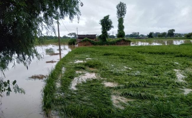 Jharkhand : सूखाग्रस्त घोषित होने के बाद गढ़वा में आयी बाढ़, मवेशी चराने गया एक व्यक्ति बहा, फसलें बर्बाद