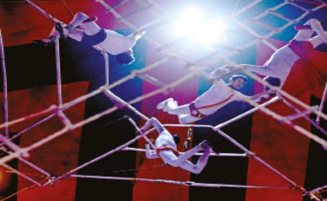 कलाकारों की कलाबाजियाें की बदौलत जिंदा है सर्कस