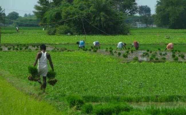 रांची : किसानों को आज से मुफ्त बिजली कनेक्शन मिलेगा