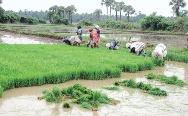 2932 करोड़ रुपये की मेगा सिंचाई परियोजना को मंजूरी