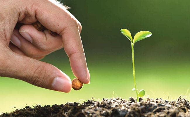 अच्छे विचारों के बीज के लिए मन की जमीन तैयार करें