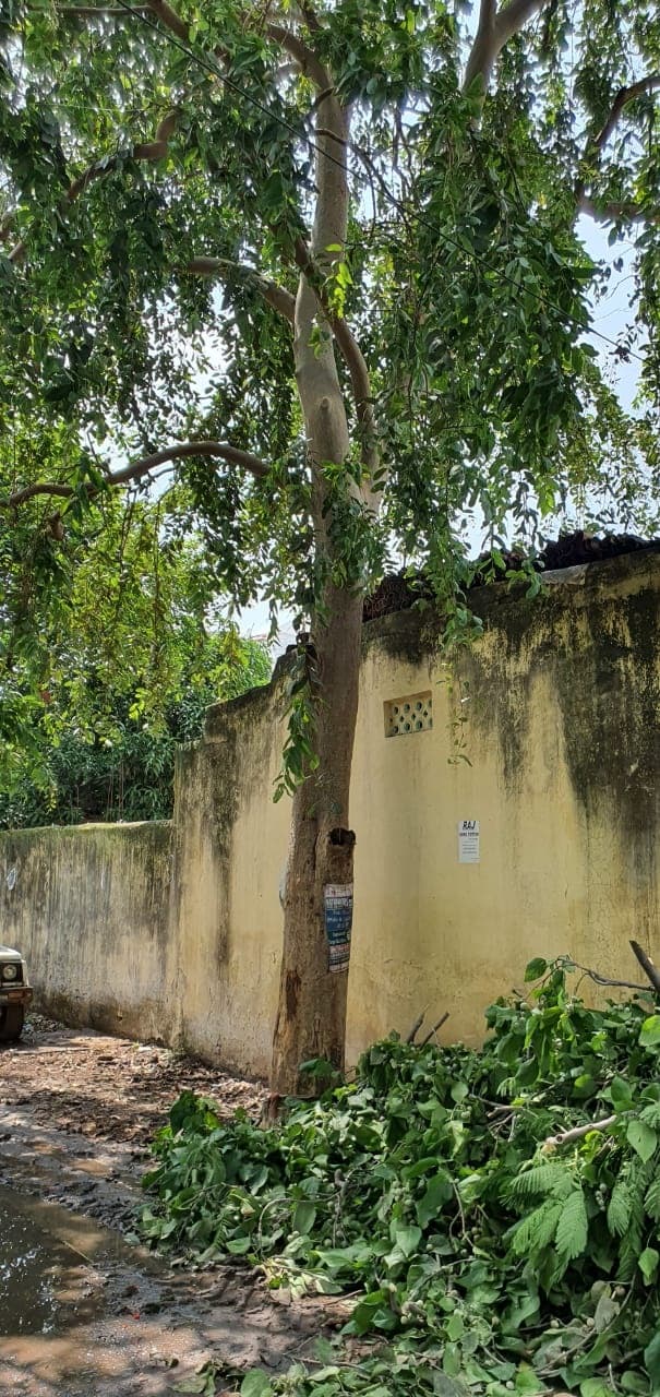 एक पेड़ को कटने से बचाने के लिए वन विभाग के कर्मियों से भिड़ गये लोग