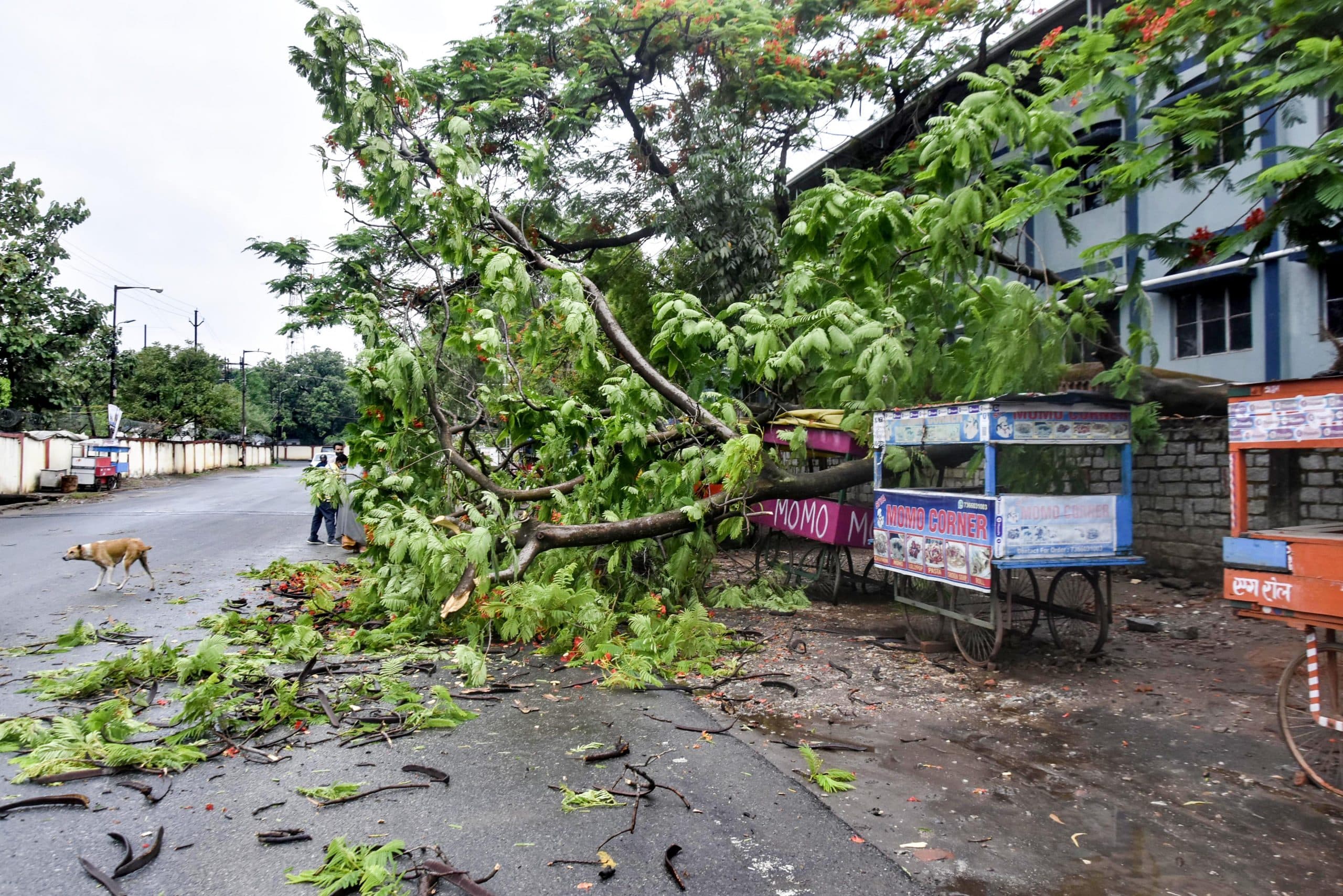 यास ने छोड़ा तबाही का मंजर, आज झारखंड में भी बवंडर, बंगाल और ओडिशा में ऐसे हैं हालात...