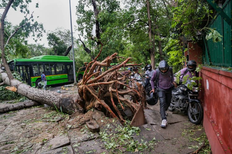 Delhi Rain : दिल्ली में खौफनाक आंधी का कहर, टूटे पेड़-जामा मस्जिद पर असर, तस्वीरों में देखें हाल