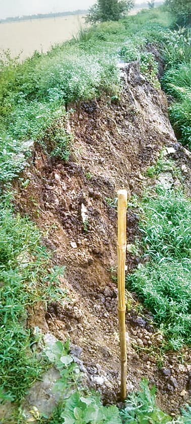 सलारपुर जमींदारी बांध में दरार, मिट्टी भी धंसी, मची अफरातफरी