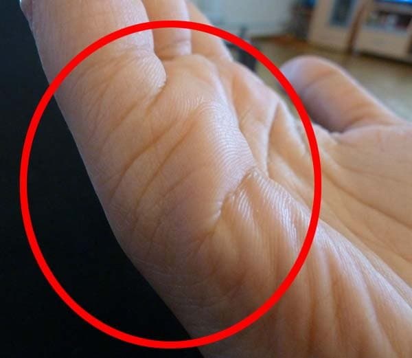 हस्तरेखा ज्ञान: हथेली की लकीरें बताती है वैवाहिक जीवन का राज