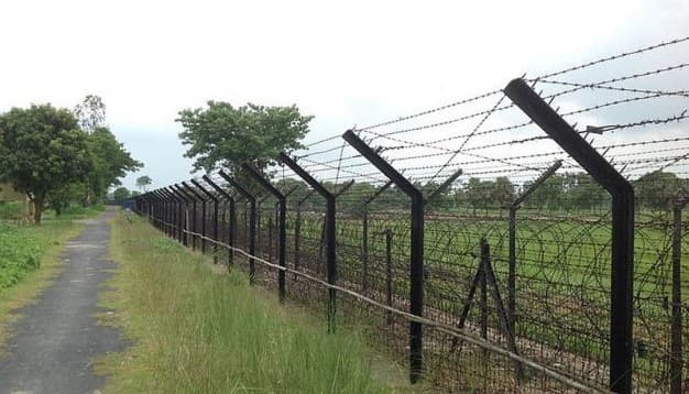 दक्षिण बंगाल सीमा से मवेशियों की तस्करी पर लगी रोक, BSF की रिपोर्ट में एक भी घटना नहीं होने का खुलासा