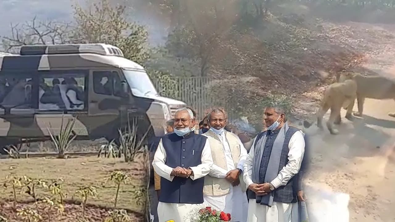 Bihar News : राजगीर जू सफारी चालू, सीएम बोले- अब साइक्लोपियन वॉल को विश्व धरोहर में कराना है शामिल